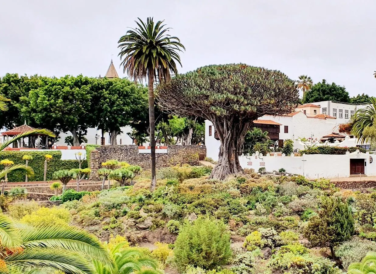 Casa Fa & Na Garachico By Hrtenerife Net 別荘